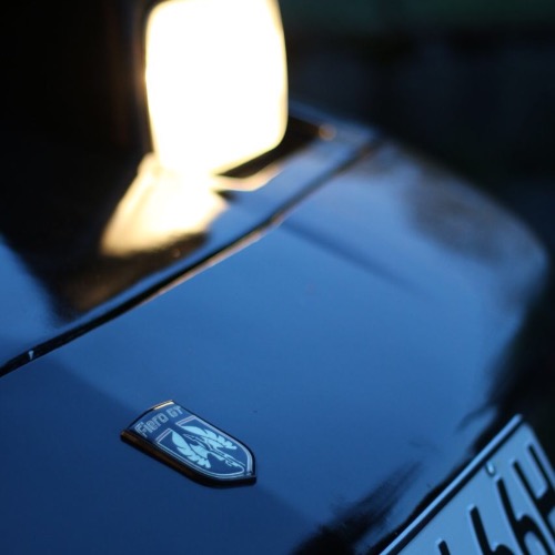Scorpionapollos Avatar